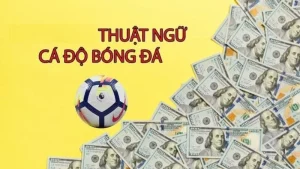 thuat-ngu-ca-do-bong-da